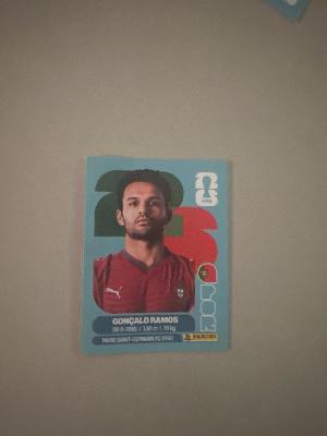 World Cup stickers