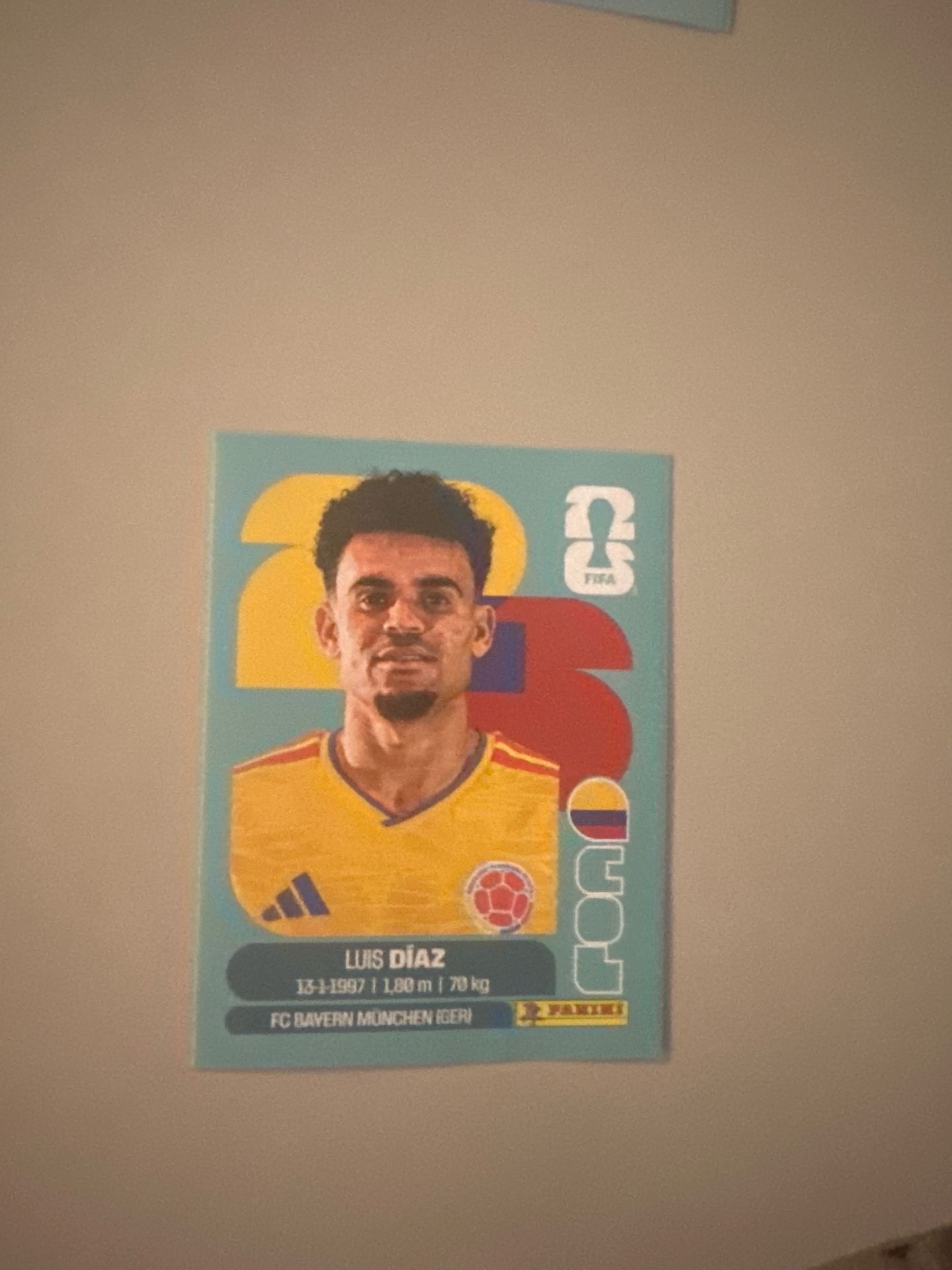 World Cup stickers (panini)