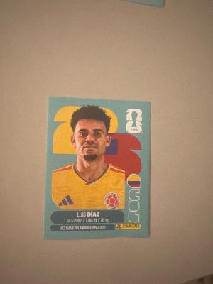 World Cup stickers (panini)