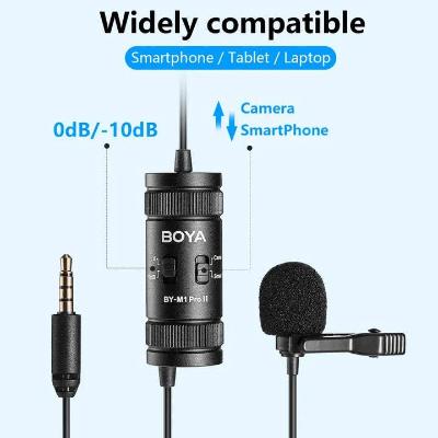 Microphone