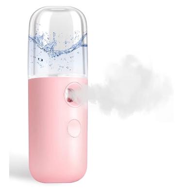 Facial Steamer