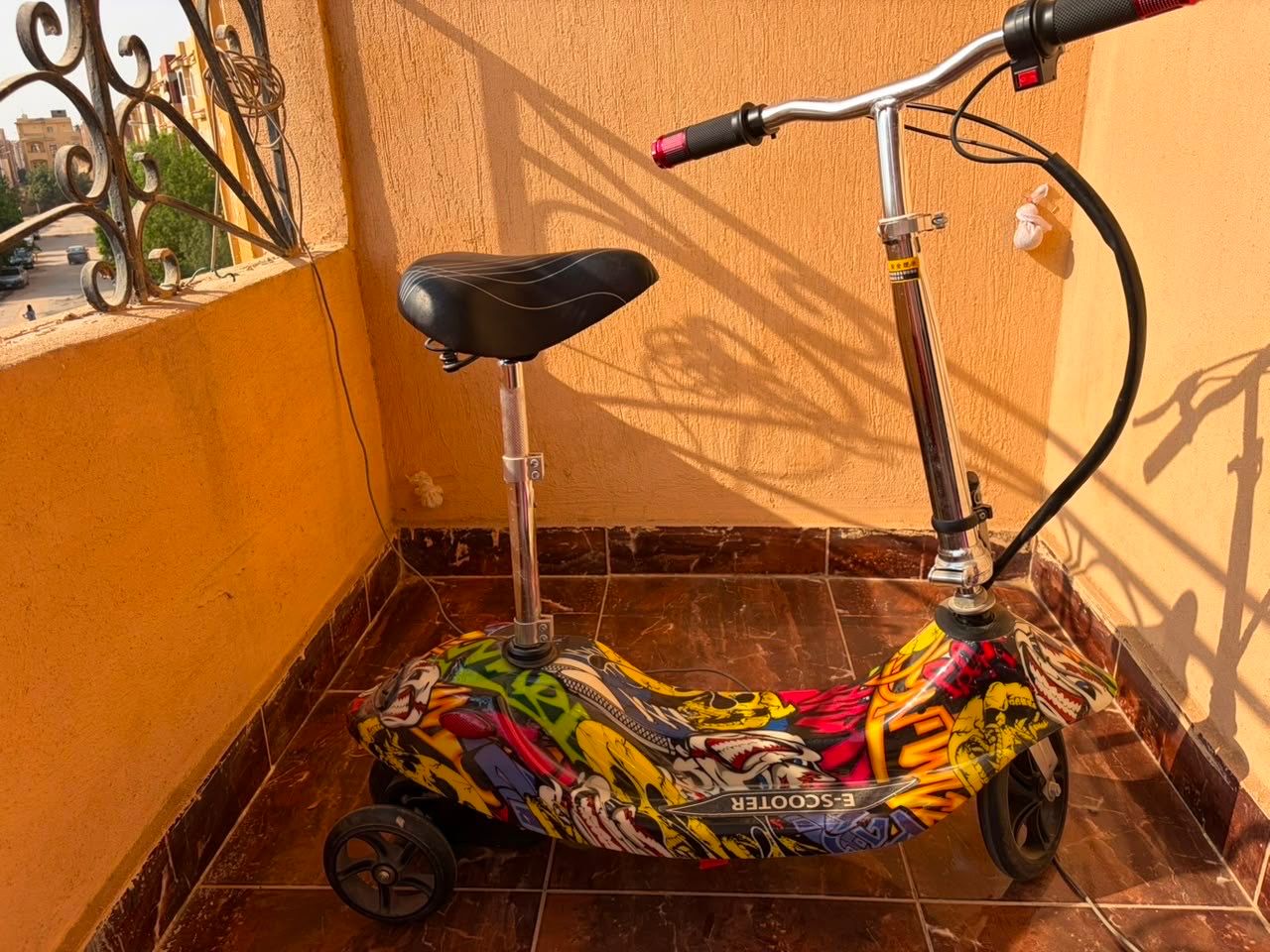 scoter
