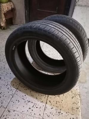 عجل عربية