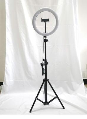 Ring light and stand