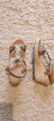 size 39 or 40