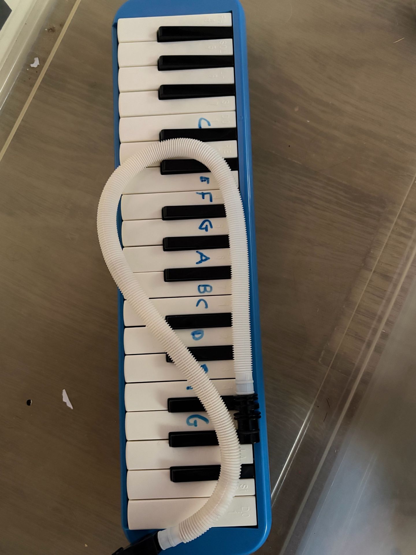Melodica
