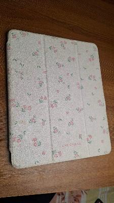iPad 12.9 360 case cover