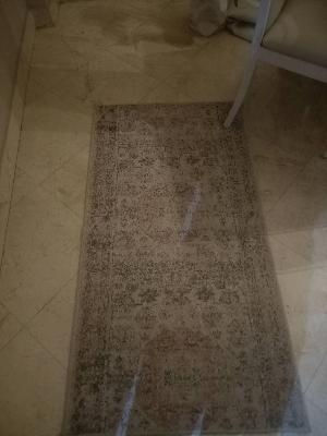 Gray speckled rug