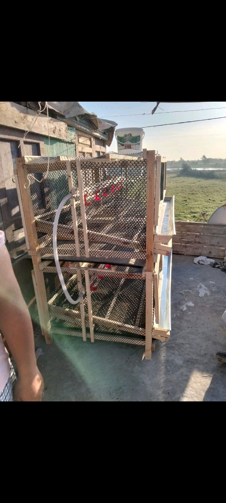 بطاريه فراخ