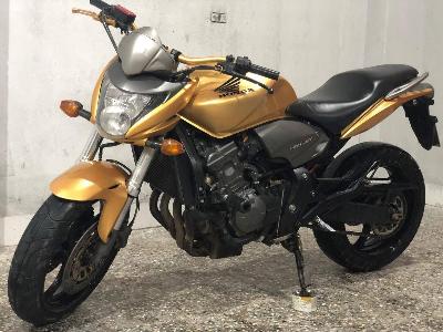 hornet600