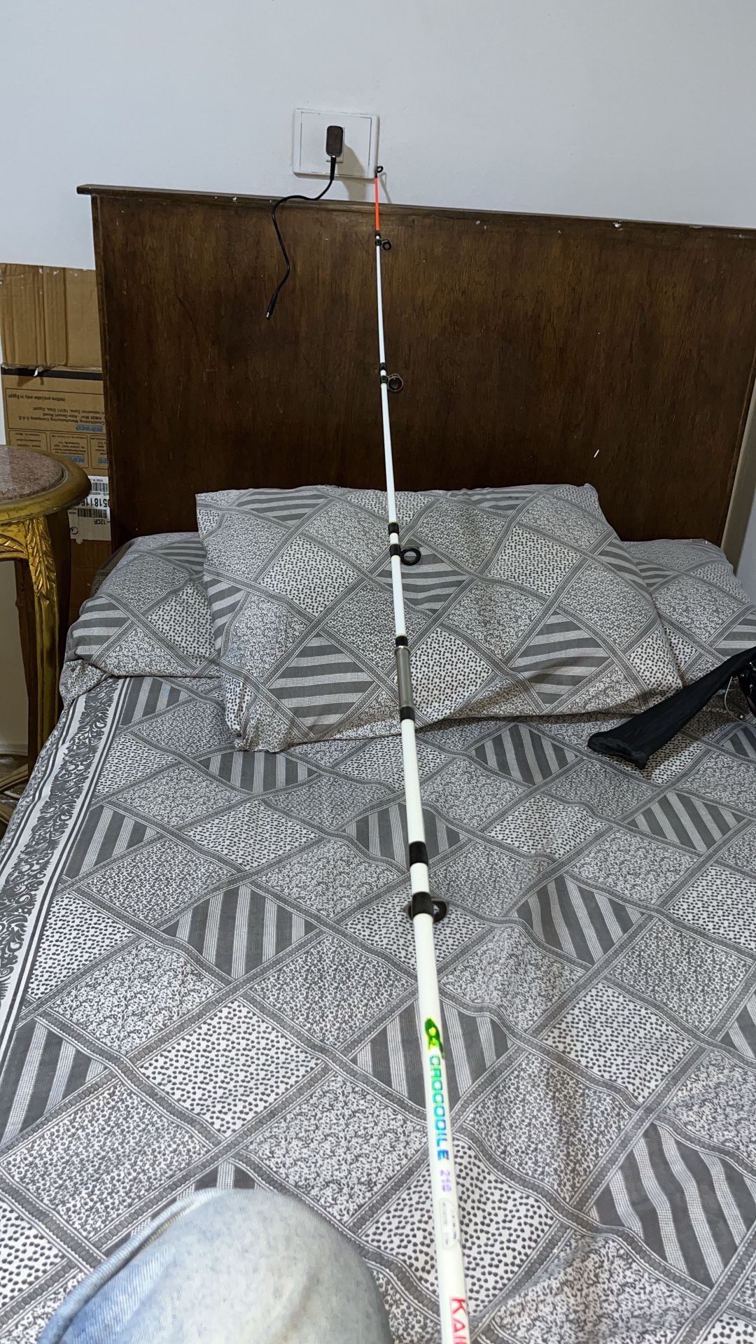 Fishing Rod