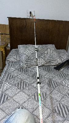 Fishing Rod
