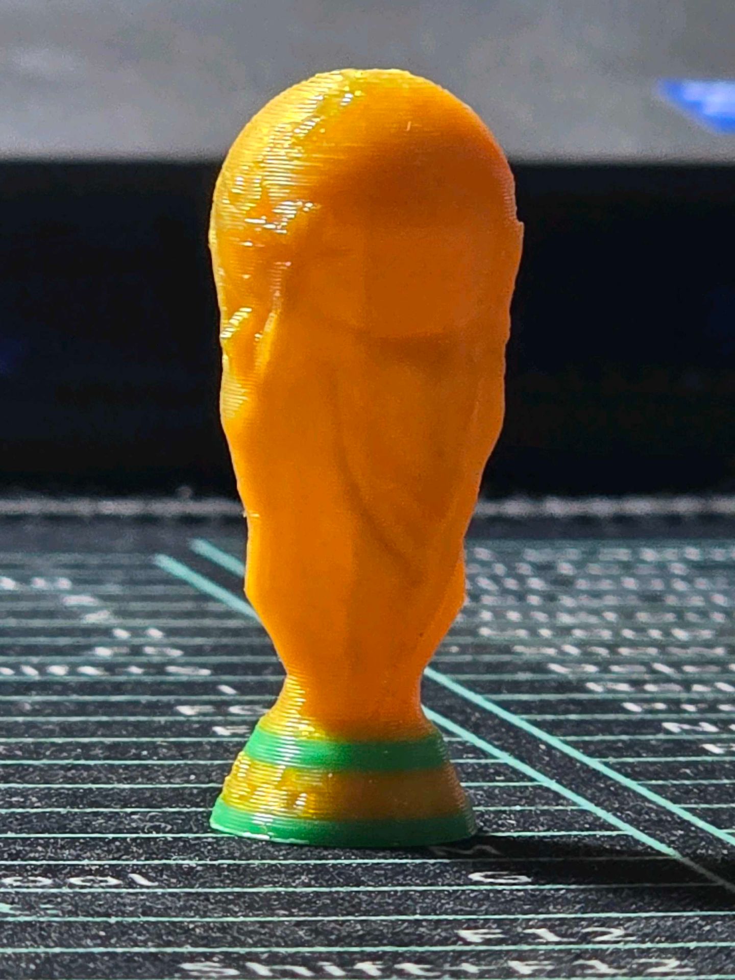 world cup