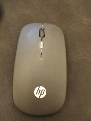 HP Wireless Mouse