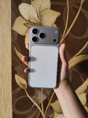 iPhone 11 Pro Max Case