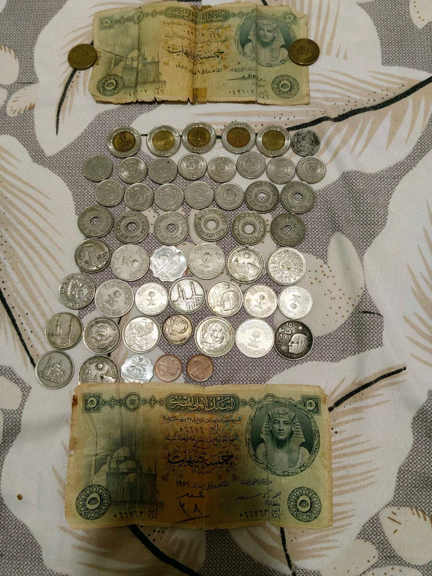 Egyptian Currency Collection