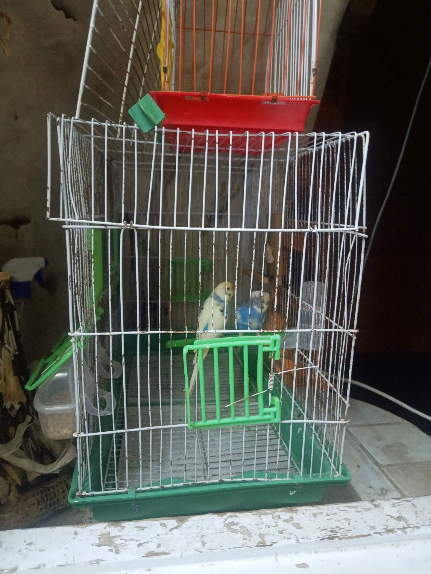 Bird Cage with Accessories