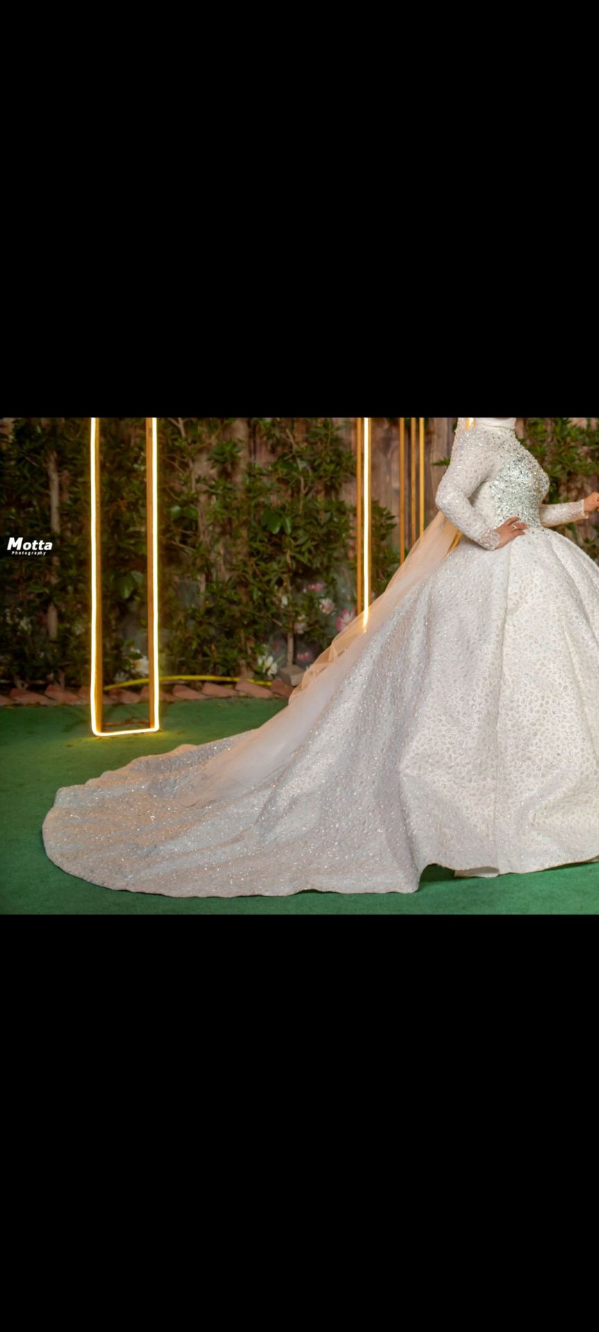 Beaded ball gown dress
