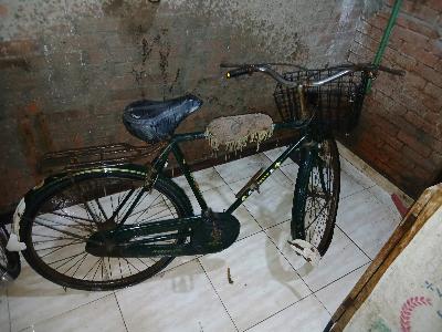 Green Adult Bicycle