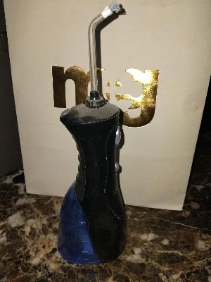 Waterpik Water Flosser