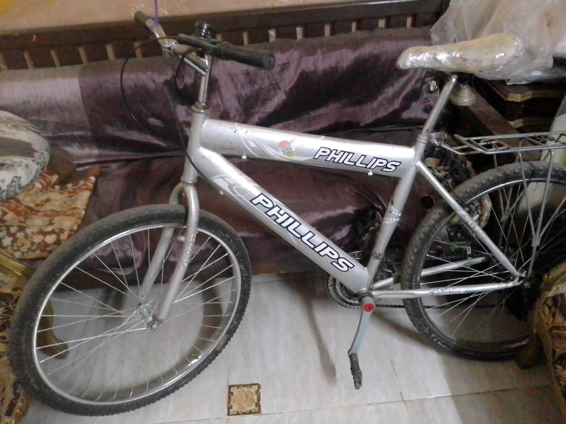 Phillips Hybrid Bike