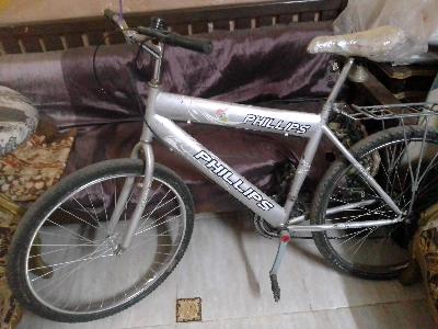 Phillips Hybrid Bike