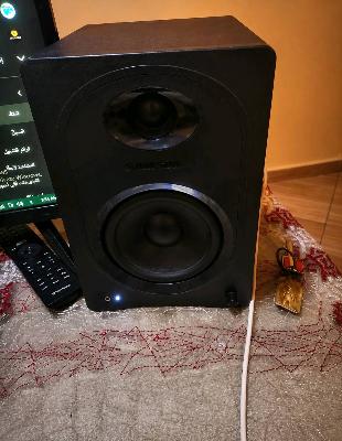 Samson Active Studio Speaker