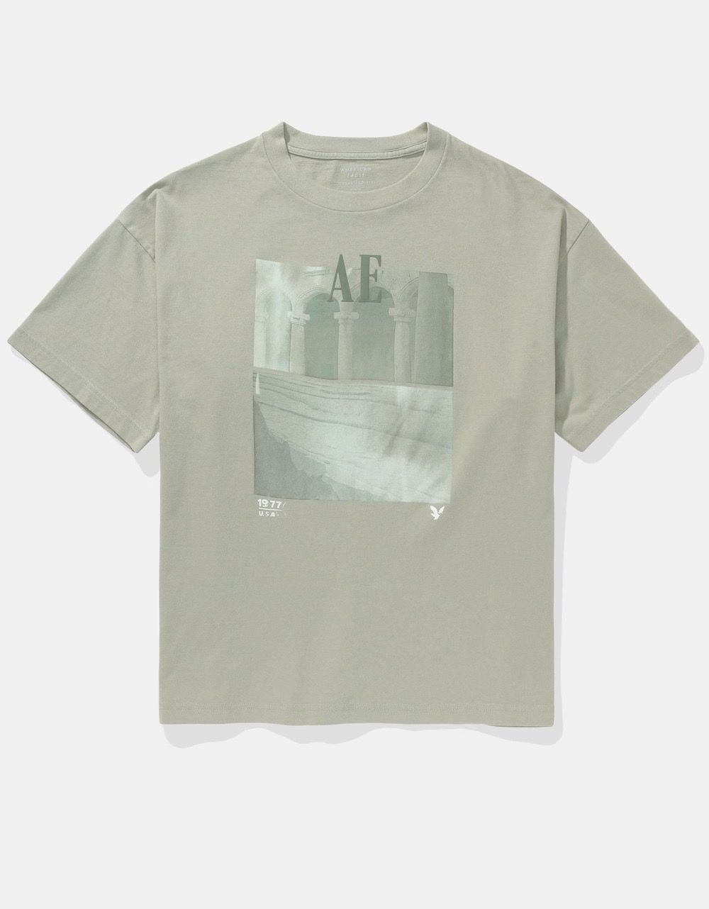 American eagle shirt (new)