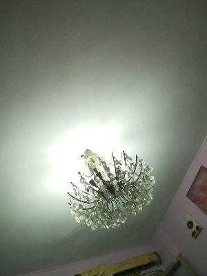 نجفه