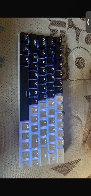 Mechanical Gaming Keyboard