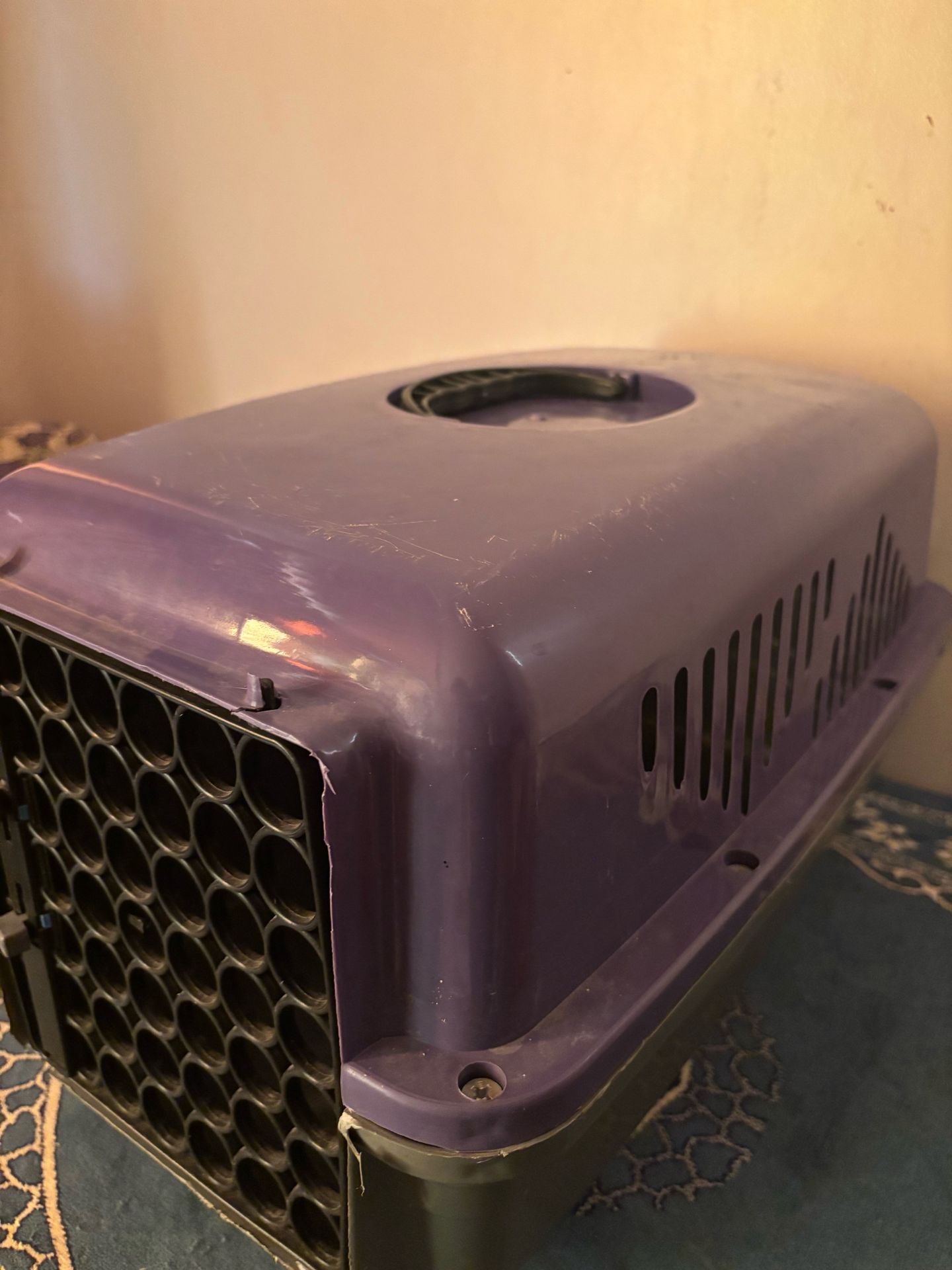 Cat Box