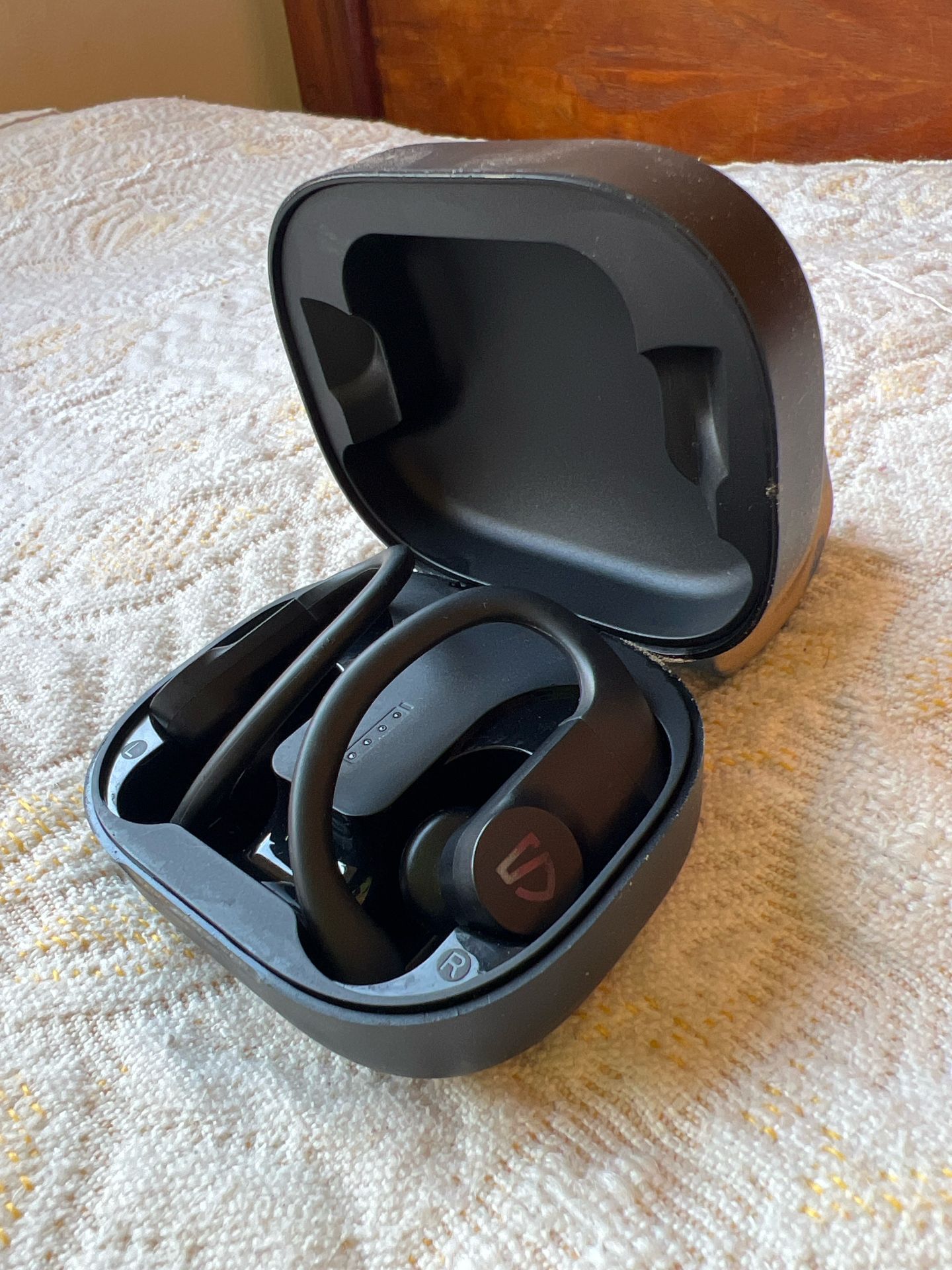 soundpeats truewings