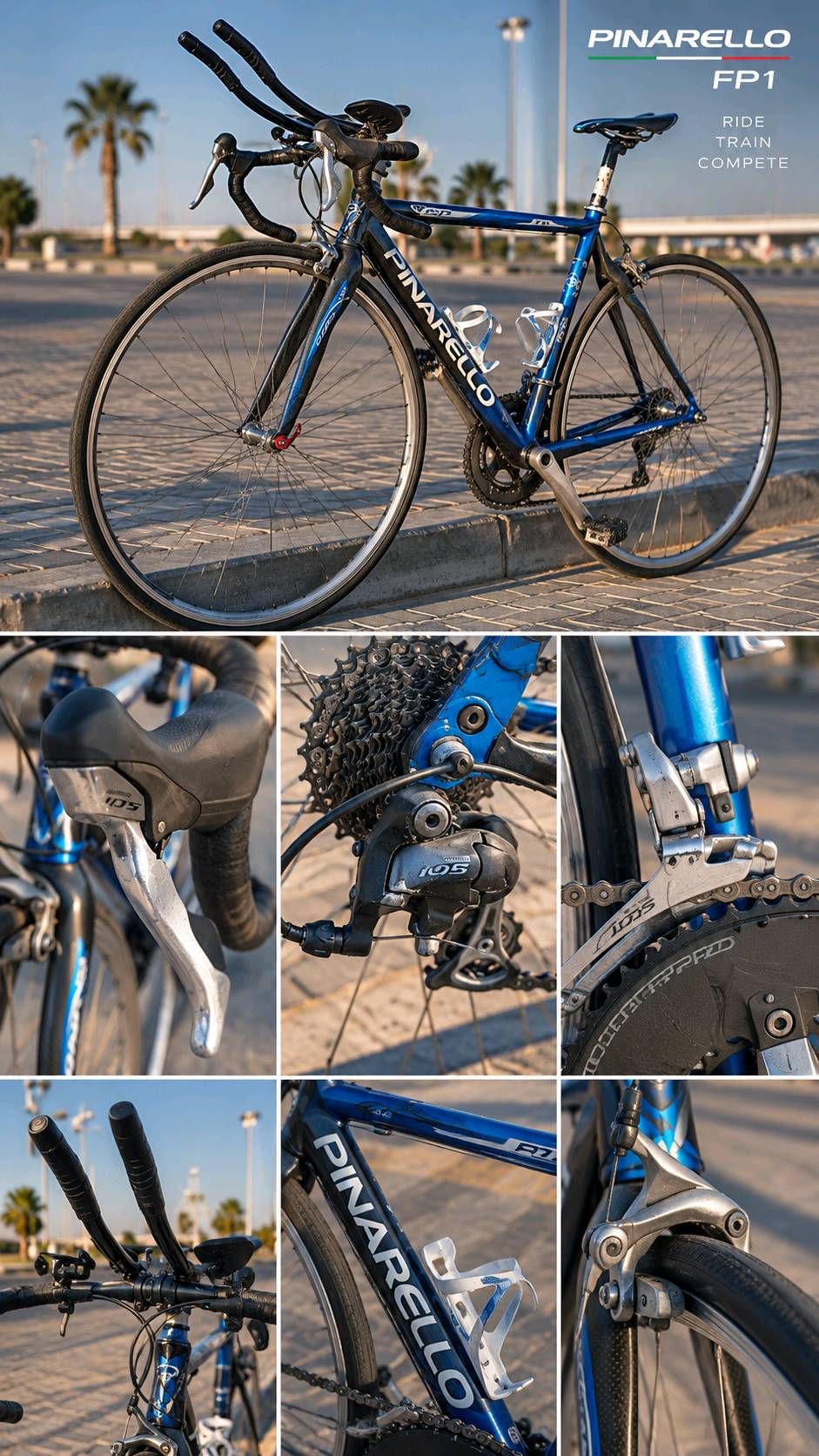 Pinarello gallio Road Bike