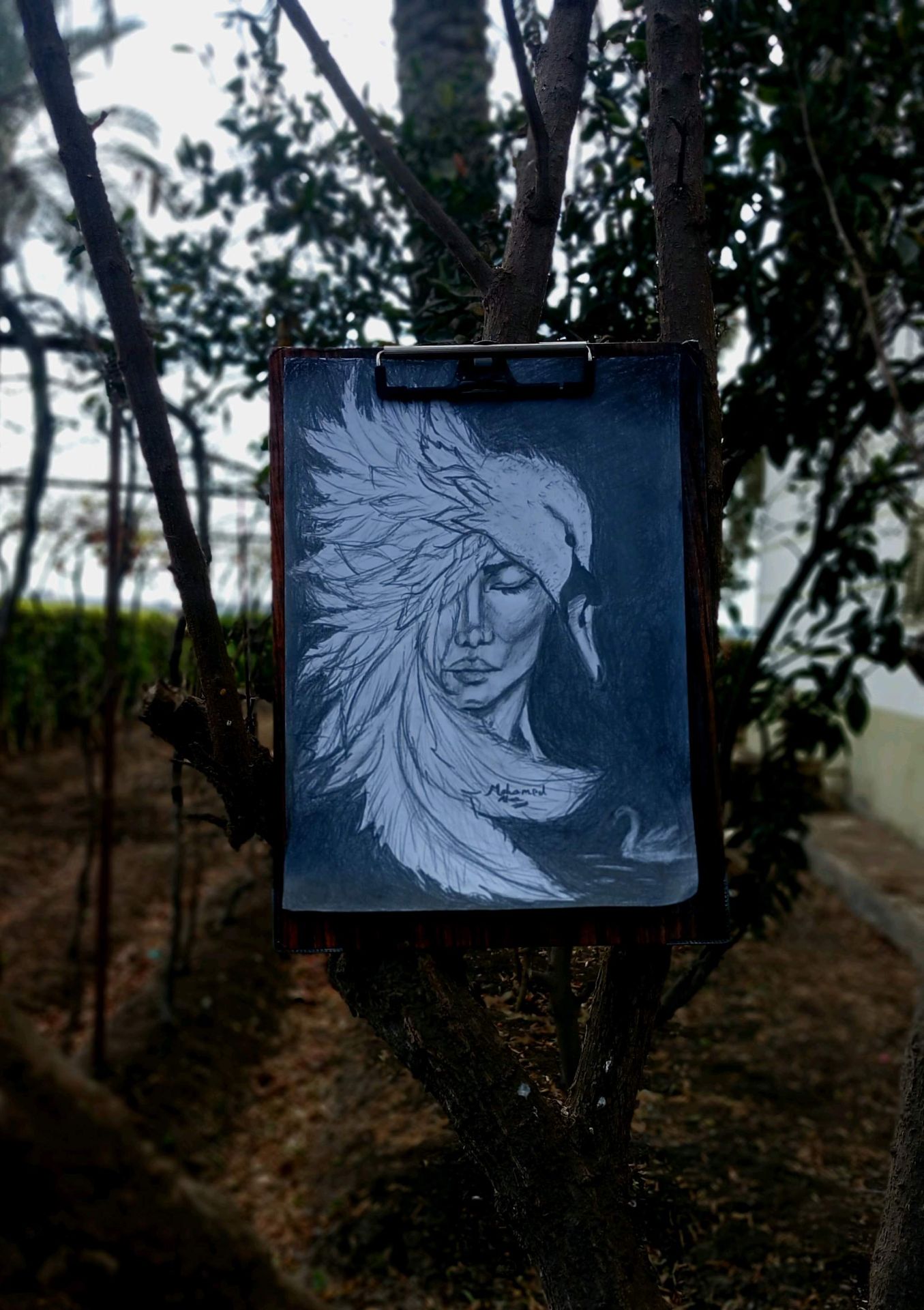 Sketch Portrait Artwork