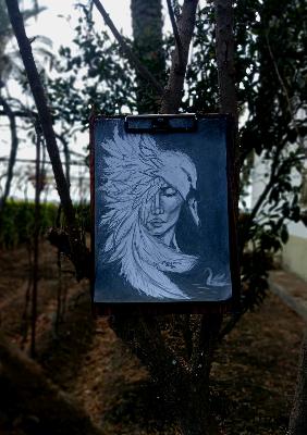 Sketch Portrait Artwork