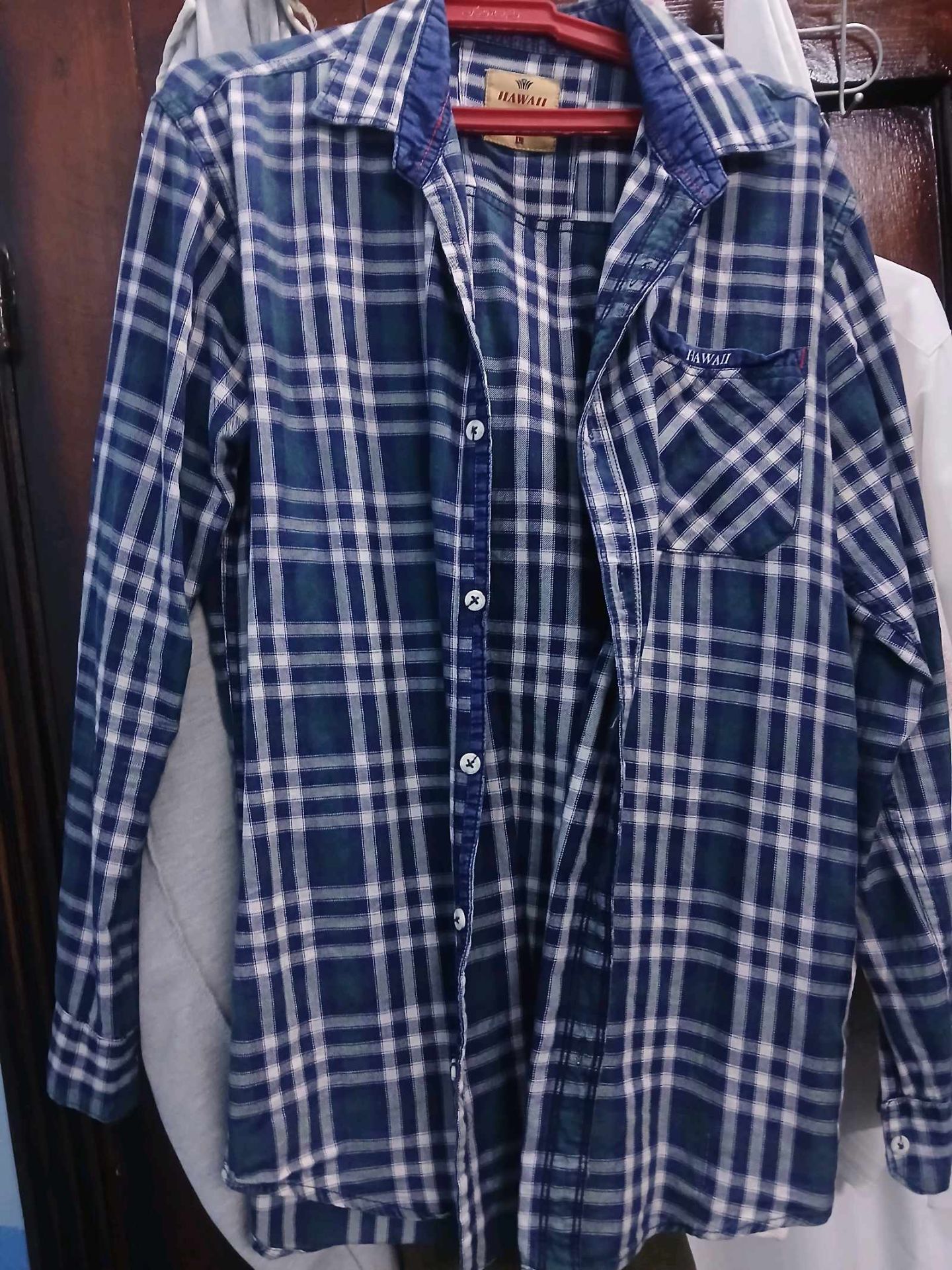Hawaii plaid shirt blue white