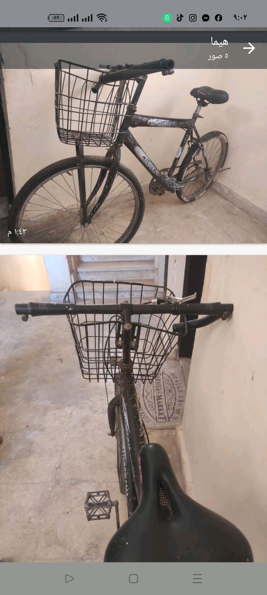 حدائق اكتوبر