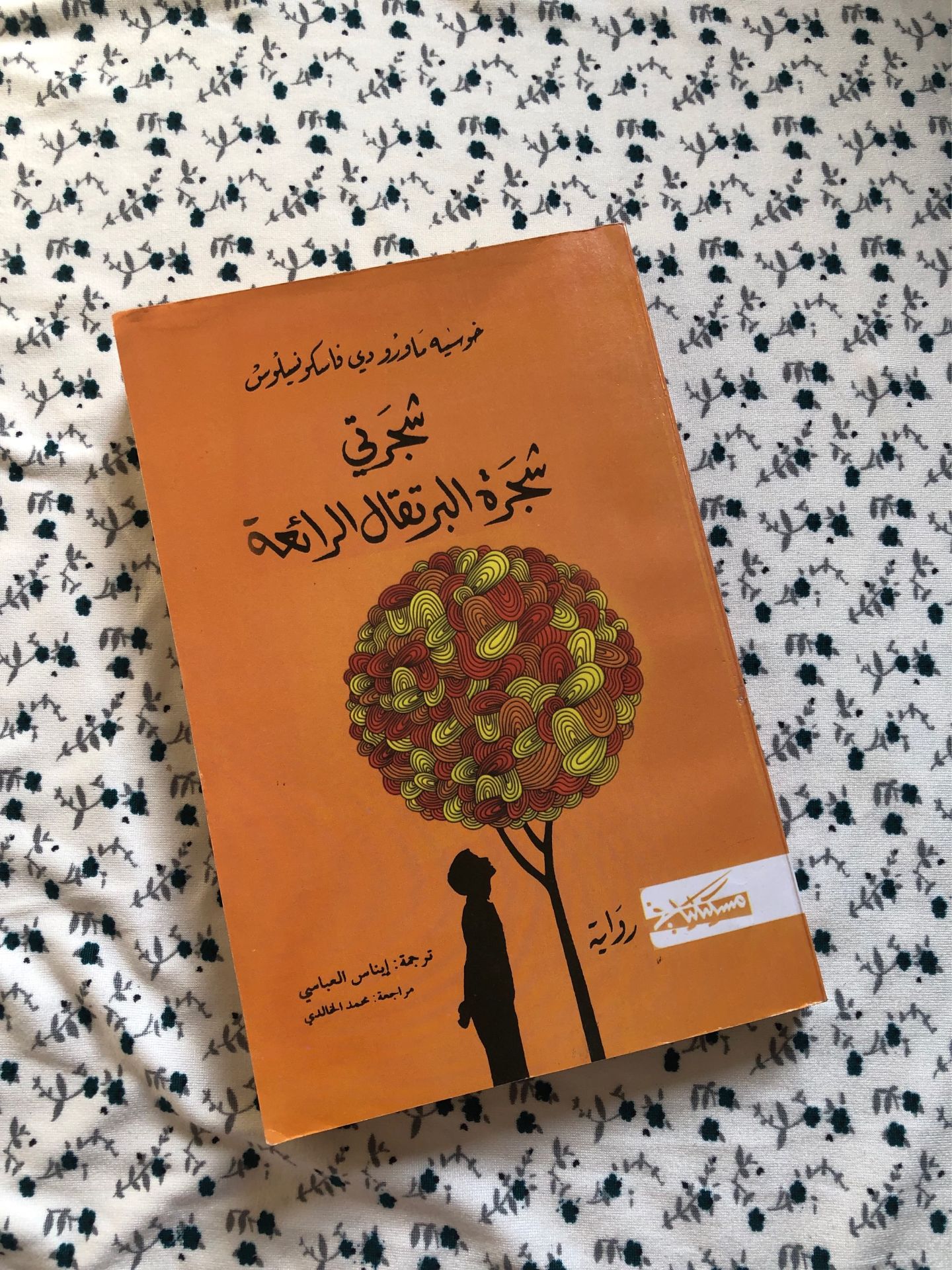 Arabic Novel Book
