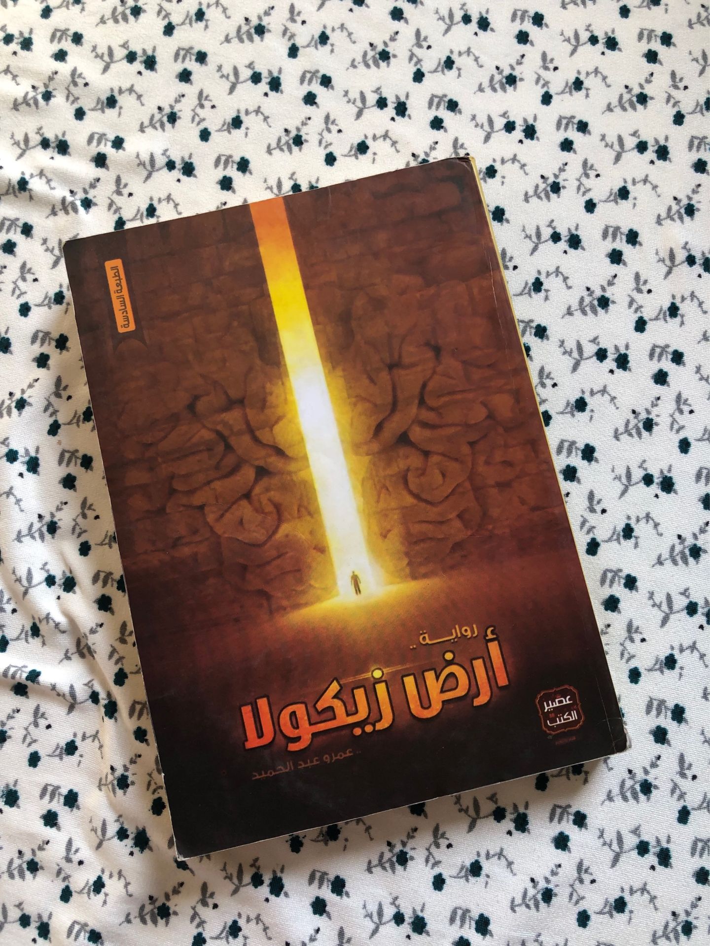 الرضيع زيكولا - Arabic Novel