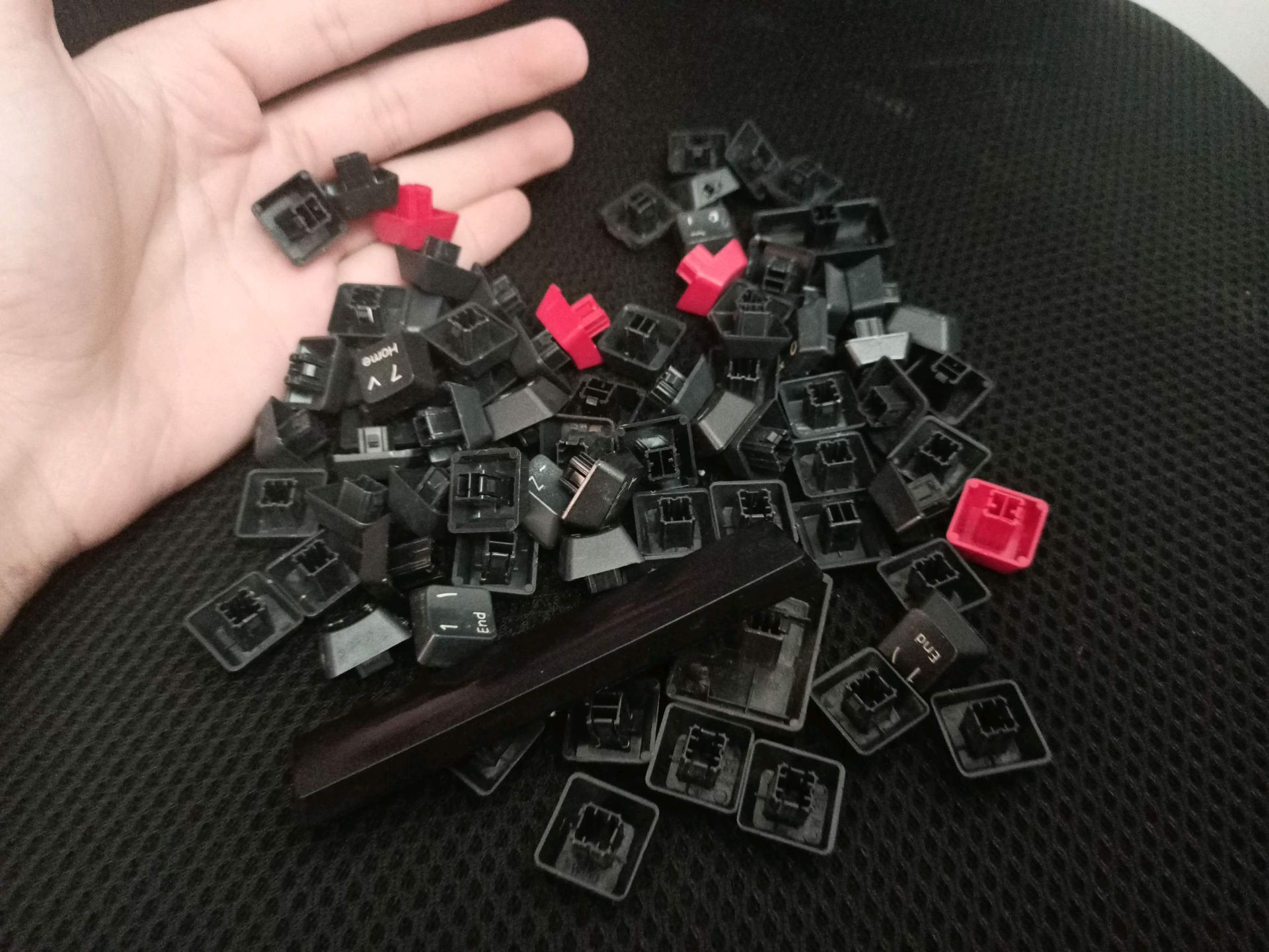 Mechanical Keyboard Switches