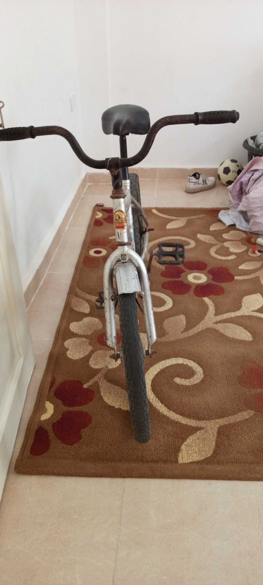 Silver Mountain Bike