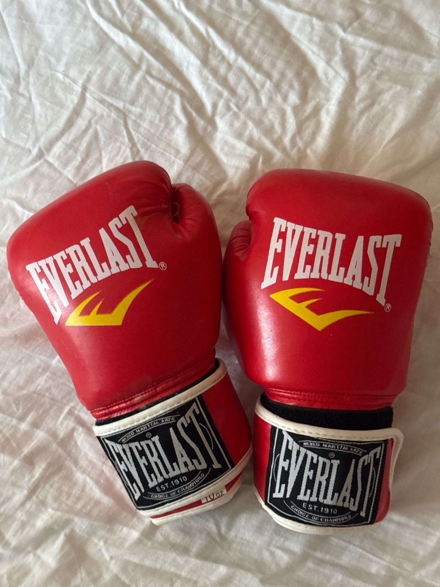 Everlast Boxing Gloves Red