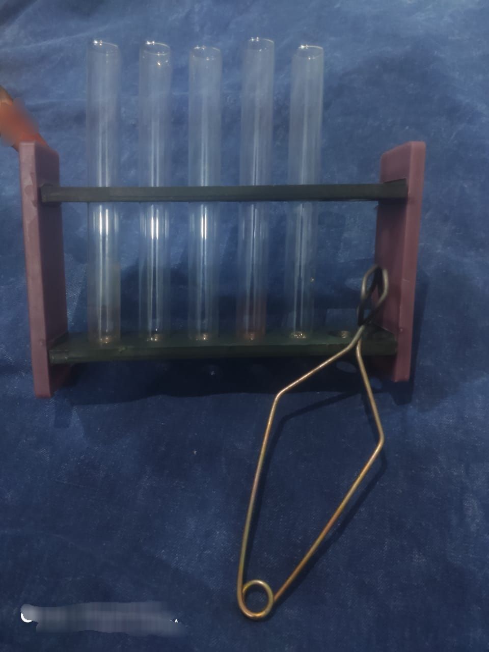 Test Tube Rack with Tubes