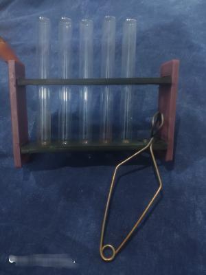 Test Tube Rack with Tubes