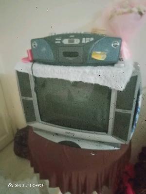 تلفزيون 📺 زيوره