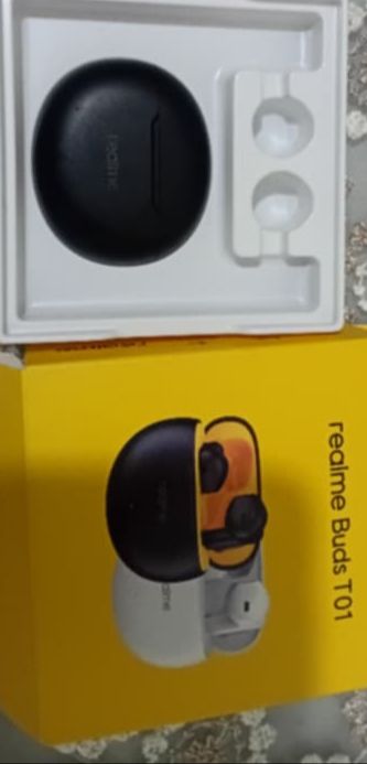 Realme Buds T01 Earbuds