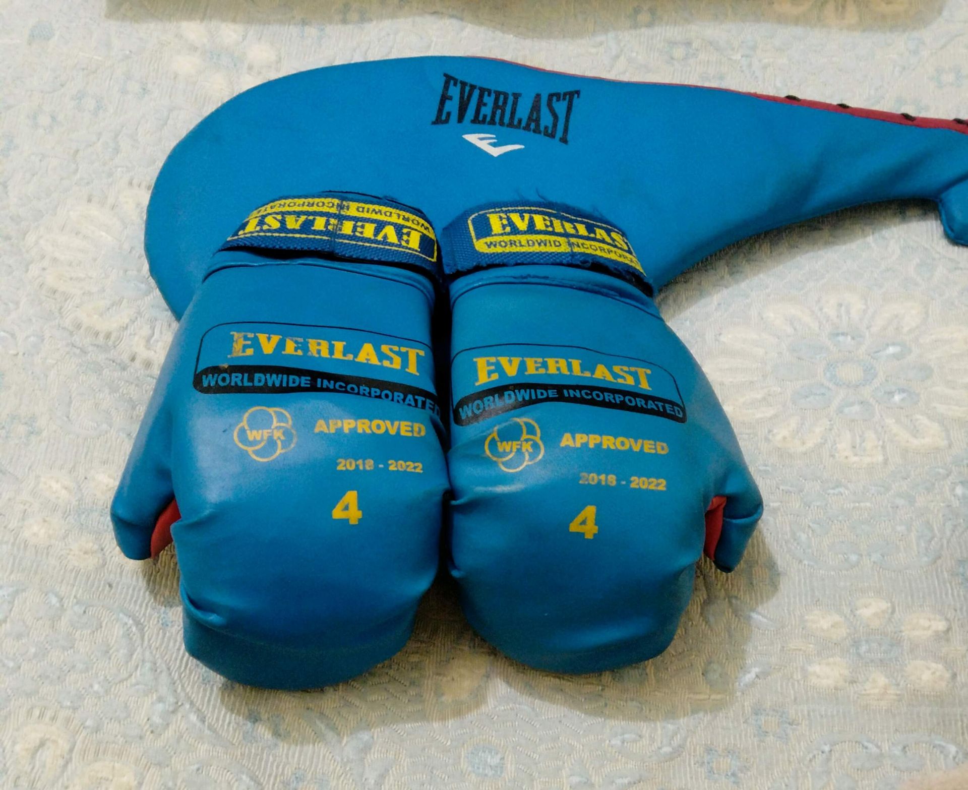 Everlast Boxing Gloves Size 4