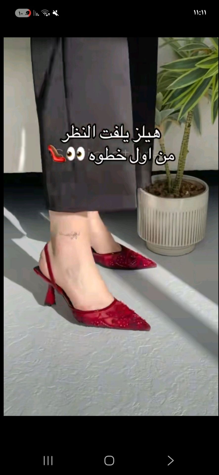 هيلز