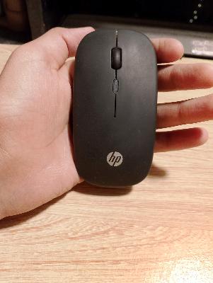 RGP HP W10 Wireless Mouse