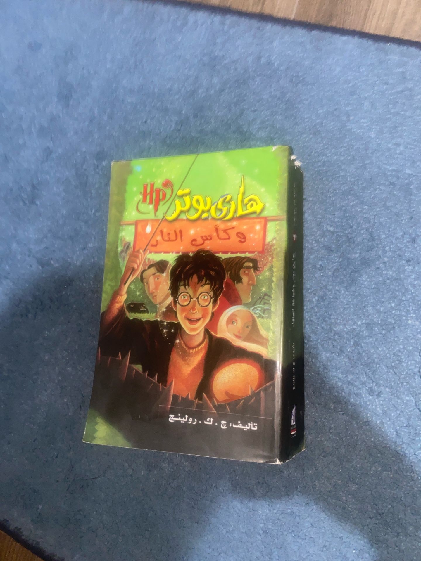 Book Harry Potter and bros lee